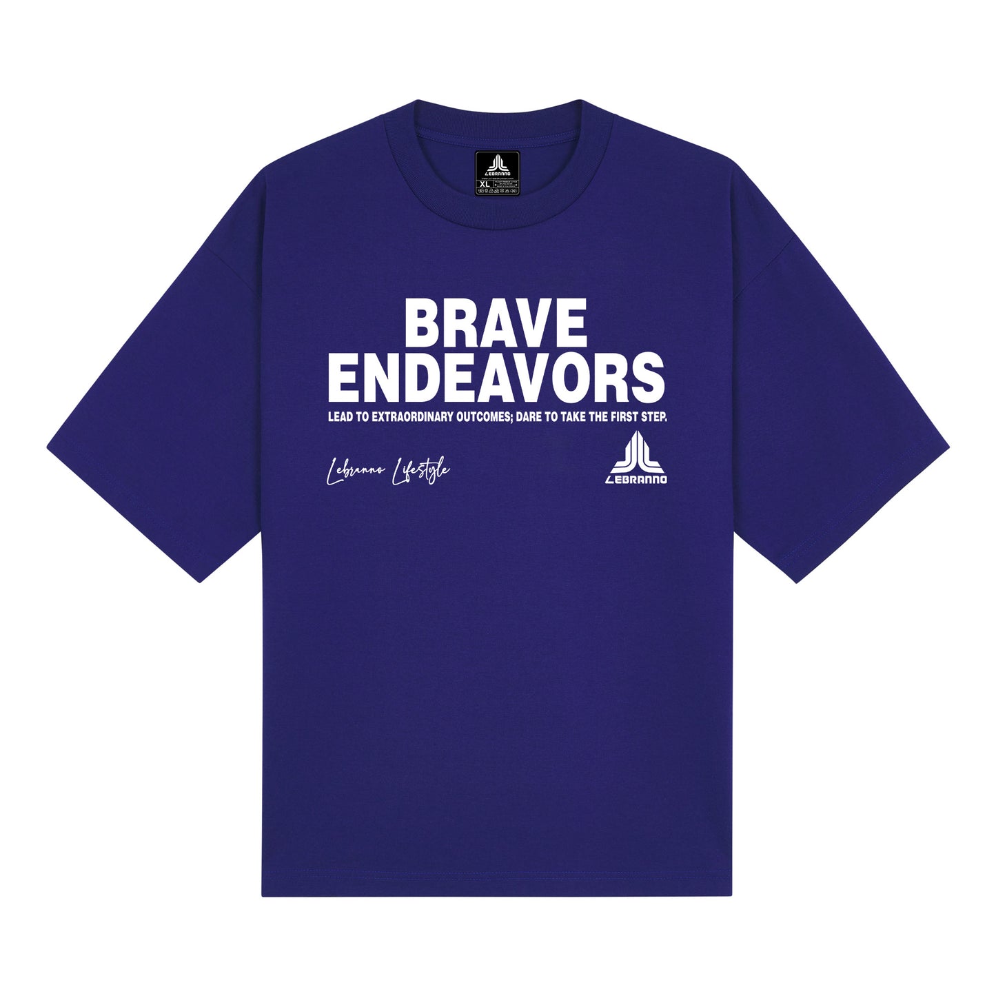 BRAVE ENDEAVORS V1